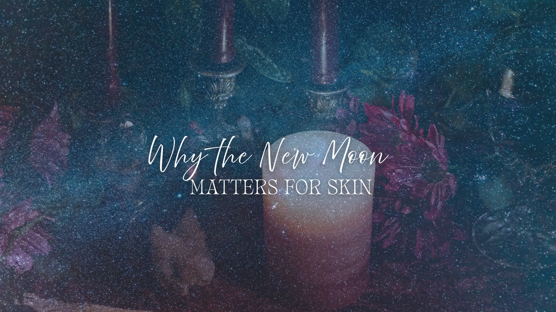 New Moon, New Skin: A Solar Eclipse Ritual for Renewal & Intention